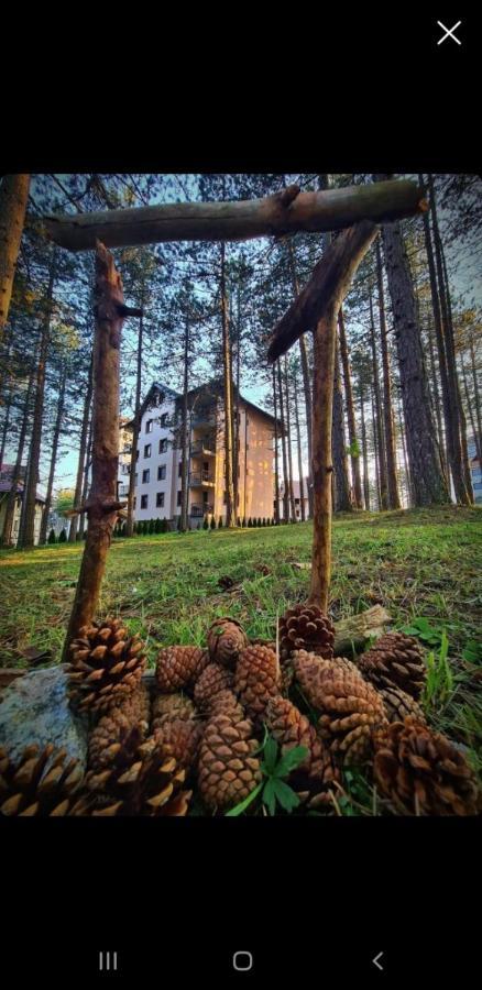 Apartman Pavle Zlatibor Zewnętrze zdjęcie