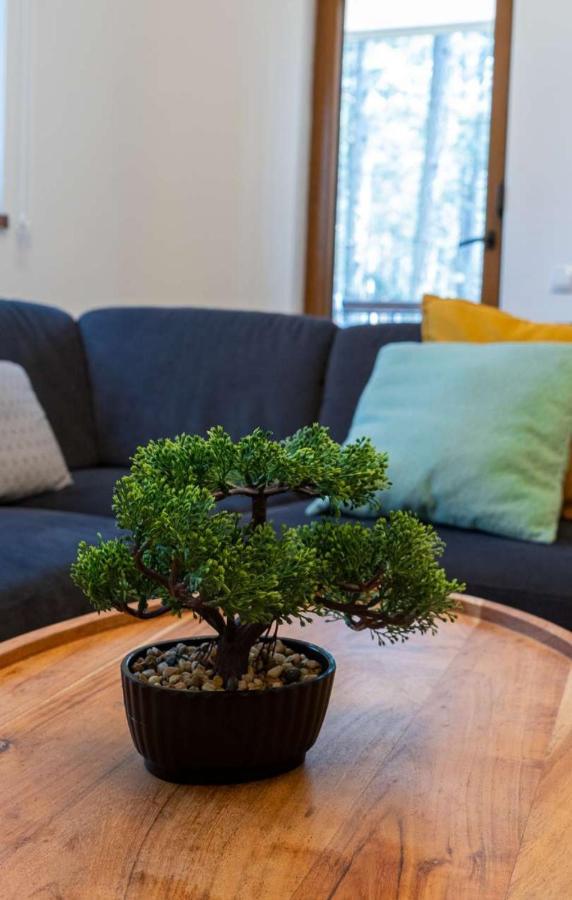 Apartman Pavle Zlatibor Zewnętrze zdjęcie