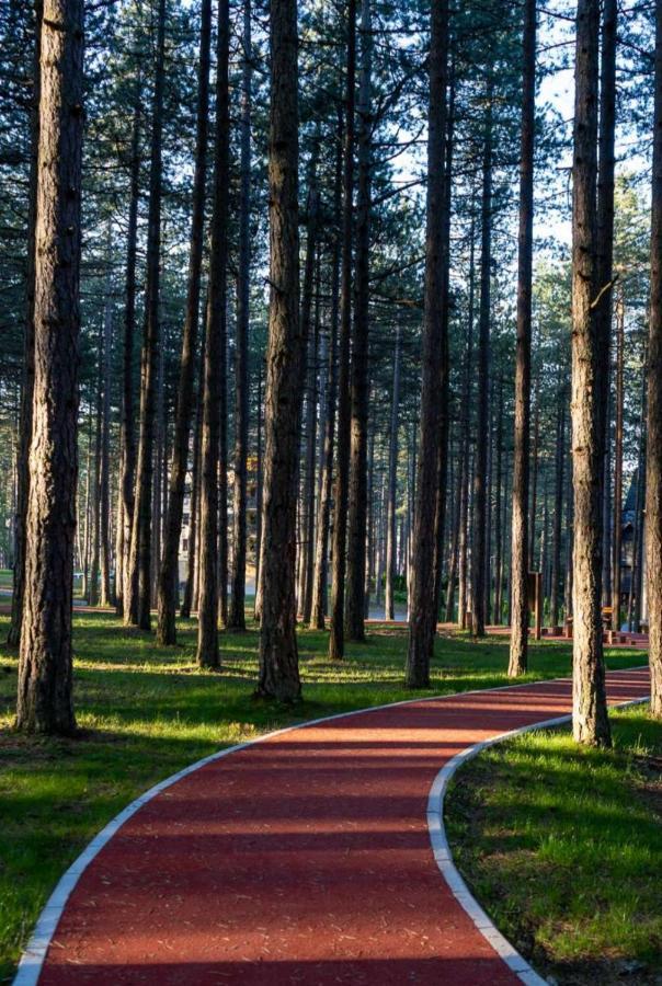 Apartman Pavle Zlatibor Zewnętrze zdjęcie