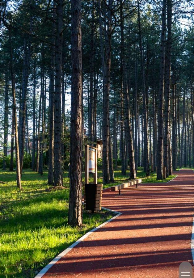 Apartman Pavle Zlatibor Zewnętrze zdjęcie