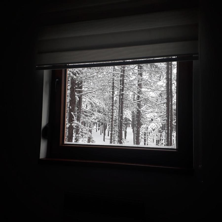 Apartman Pavle Zlatibor Zewnętrze zdjęcie